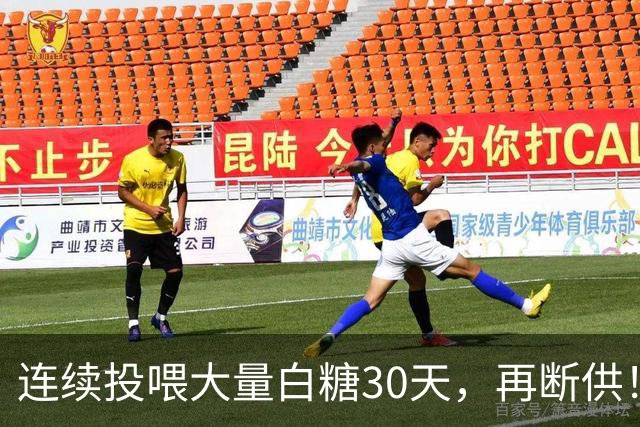 连续投喂大量白糖30天，再断供！国外网红扮“蚂蚁天神”整蛊野生蚁群